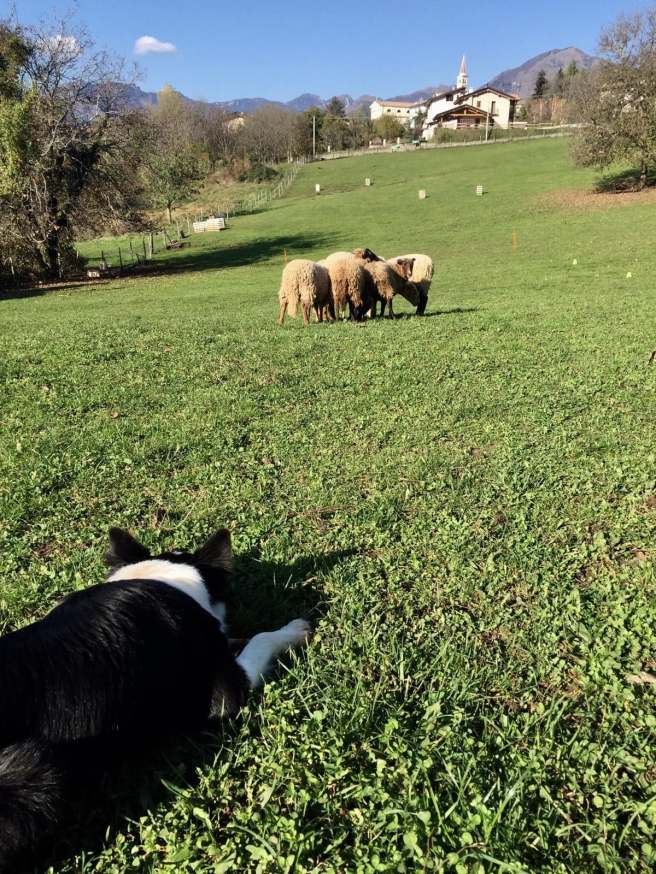 46485999_1121963247966817_4364962893418987520_n