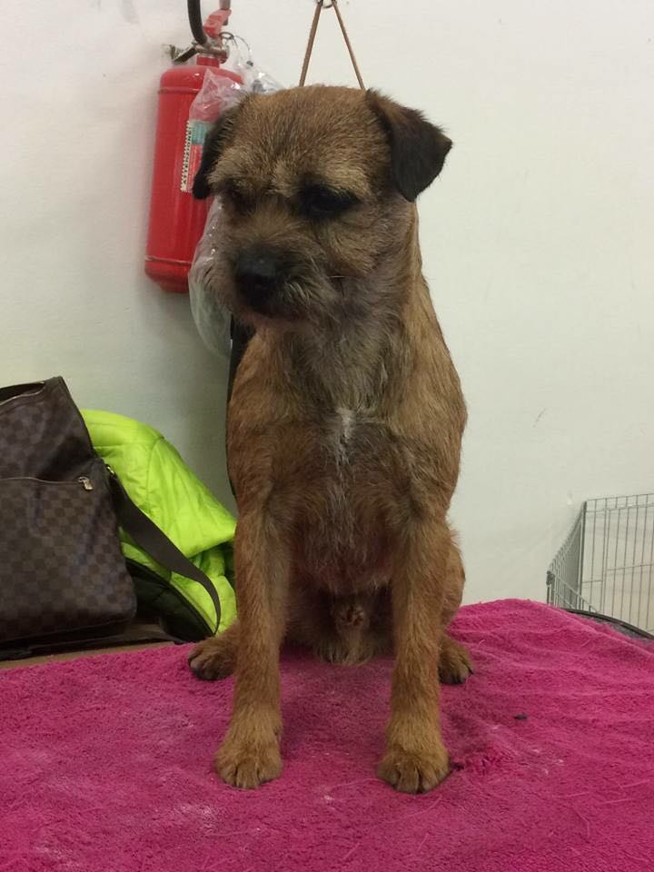 47024074_706573713060485_4452417846428827648_n